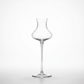 Nova Cocktail Glass
